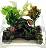 SunSun Aqua Paludarium 30 l - sada paludária SunSun Anteprima dell’immagine prodotto 2