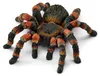 Schleich® Wild Life 14829 Tarantola Anteprima dell’immagine prodotto 5