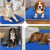 Vierteilige Collage zeigt verschiedene Hunde, die auf blauen Kühlmatten in verschiedenen Umgebungen entspannen Náhled obrázku produktu