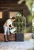 A man watering a plant in a dark gray square planter on a brick patio. Produktbild-Vorschau