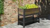 Hochbeet Keter Ashwood 113 x 48 x 79,5 cm Walnuß Produktbild-Vorschau 8