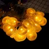 luci da 1,5 m con 10 LED - illuminazione da giardino, Anteprima dell’immagine prodotto 4