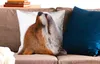 MuchoWow® Zierkissen Sofakissen Wohnzimmer Dekokissen 50x50 Produktbild-Vorschau 2