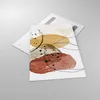 Bilder auf glas - Einteilig - Aquarell Abstraktion Formen - Produktbild-Vorschau 2