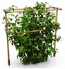 BERRY BUDDY Beerenrankhilfe | Rankhilfen von Gusta Garden, Produktbild-Vorschau 19