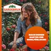 GARDEBRUK® Oblouk na růže 240 x 140 x 40 cm Kovový s dvířky Náhled obrázku produktu 5