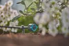 GARDENA Endtropfer für Tropfschlauch Micro-Drip-System 1,8 Produktbild-Vorschau 9