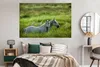 MuchoWow® Poster Pferde - Vogel - Gras 180x120 cm - Produktbild-Vorschau 3