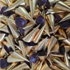 Nougattütchen Nougat Praline Nougat Schokolade Produktbild-Vorschau 1
