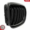 ESEN SKV 66SKV099 Kühlergrill Frontgrill für BMW 3 Coupe Produktbild-Vorschau 12
