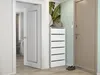 A hallway with two doors, a shoe cabinet, and a large plant mural on the wall. Podgląd zdjęcia produktu