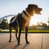 Ruffwear Front Range™ Hundegeschirr Produktbild-Vorschau 13