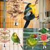 Wellensittich Spielzeug, Papageienspielzeug Vogelspielzeug Produktbild-Vorschau 6
