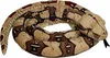 Coppenrath Verlag KG Boa constrictor NZW 0 0 STK Anteprima dell’immagine prodotto 1