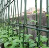 DIXIE STORE, Tomaten und Gurken Rankhilfe, Rankgitter Produktbild-Vorschau 7