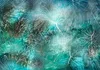 Selbstklebende Folie Fototapete - Turquoise Vegetation Produktbild-Vorschau 5