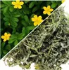 Herbs from Poland Gänsefingerkraut, Krampflösend & Produktbild-Vorschau 2