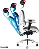 An ergonomic office chair with adjustable features shown in different reclining positions. Voir les images du produit