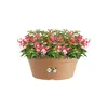 elho green basics Schale 38cm - mild tonrot Produktbild-Vorschau 9