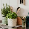 BUTLERS Blumentopf BLOOMY Produktbild-Vorschau 2