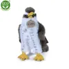 Falco di peluche 23 cm ECO-FRIENDLY Anteprima dell’immagine prodotto 9