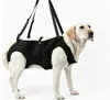 Harnais de soutien pour chiens, harnais de transport pour Voir les images du produit 1