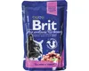 Brit Premium Cat Adult Salmone + Trota in busta 100g Anteprima dell’immagine prodotto 2