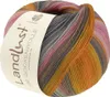 Lana Grossa Landlust DIE SOCKENWOLLE 100 g 4-fach Produktbild-Vorschau 1
