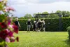 EXIT Finta Stahl-Fußballtor 300x200cm, Fußballtor, für Produktbild-Vorschau 2