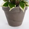 Kunstpflanze Ficus im Topf grün/mehrfarbig 40cm Produktbild-Vorschau 10