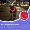 Reichstadt  RS Pets Hundegeschirr & Leinen Set 25RSP083-4 Produktbild-Vorschau 8