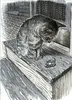 FABER-CASTELL Tuschest. Pitt Artist Pen Grey&Black 8er Voir les images du produit 4
