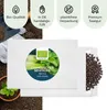 Chinesischer Senfkohl Samen (Pak Choi, 150 Korn) - Pak Choi Produktbild-Vorschau 4