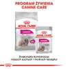 Royal Canin Mini Exigent, Adult, Klein (5-10 kg), 3 kg Produktbild-Vorschau 8