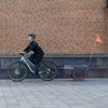 Qeridoo Qubee XL Cargo / Lastenanhänger, Farbe:Grey Produktbild-Vorschau 7
