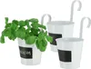 Three white hanging planters, one with a basil plant. Náhľad obrázku produktu