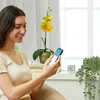Temperatur-Und Feuchtigkeitssensor 1 Stück, Wifi Produktbild-Vorschau 2