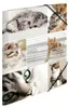 HERMA Sammelmappe A4 Katzen Pappe Anteprima dell’immagine prodotto 1