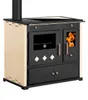 A product shot of a wood-burning stove. Náhled obrázku produktu
