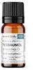 Teebaumöl  (10ml) - naturreines, ätherisches Öl von Produktbild-Vorschau 1