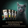 A cat looking at several pouches of cat food, with text overlay. Produktbild-Vorschau