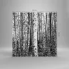 Bilder auf glas - Einteilig - Birken Wald Monochrom - Produktbild-Vorschau 3