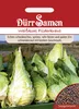 Weißkohl Filderkraut | Weißkohlsamen von Dürr Samen Produktbild-Vorschau 3