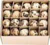 60x Wachteleier Natur ausgeblasen gereinigt Deko Ostern Produktbild-Vorschau 1