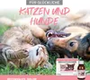 ReConvales Dolor 3 x 90 ml für Hunde und Katzen fördert das Produktbild-Vorschau 8