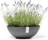 Výsadbový květináč Ecopots Vienna plastový Ø 50 cm V 18 cm Náhled obrázku produktu 17