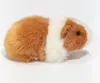 Cochon d'Inde or/blanc 20 cm Voir les images du produit 4