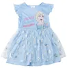 Letnia sukienka Disney Frozen z tiulem, jasnoniebieska, 98 Podgląd zdjęcia produktu 1