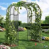 Arco da giardino - 220 cm, struttura in metallo per piante Anteprima dell’immagine prodotto 3
