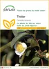 SAFLAX  - Théier - 6 graines - Camellia Voir les images du produit 1
